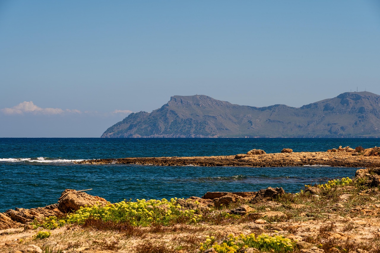 Kritik an deutschen Mallorca-Urlaubern wegen hoher Preise und Touristenmassen