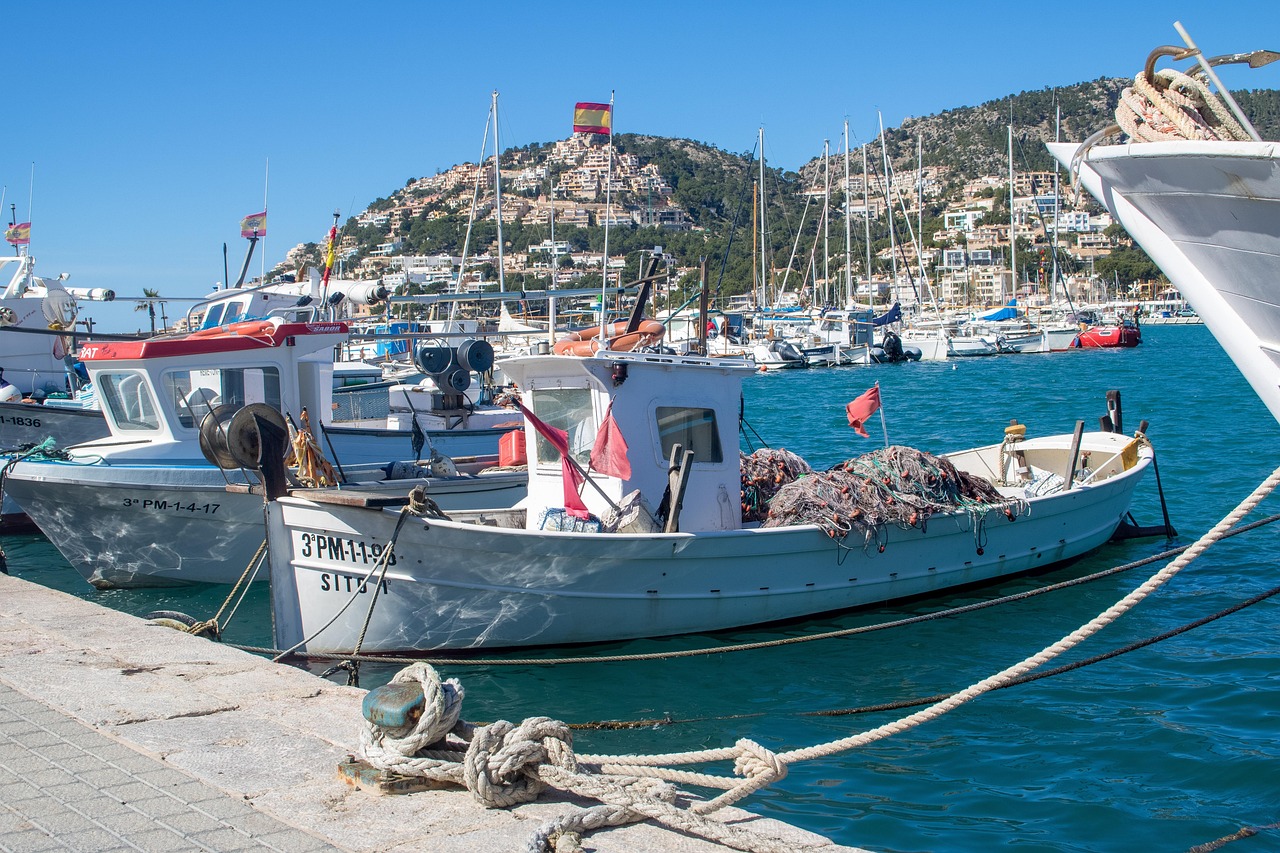 Erfrischendes Wetter und perfekte Bedingungen in Port d’Andratx
