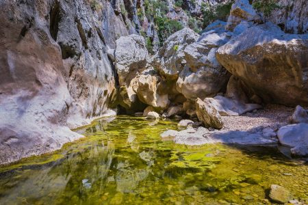 Mallorca: Private Spanischlehrer, Sommerfest und Transportinformationen im Juli 2025