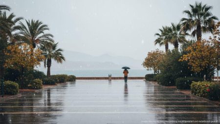 Leichter Regen und milde Temperaturen auf Mallorca erwartet Milde Wetterbedingungen mit leichtem Regen und einer sanften herbstlichen Brise auf Mallorca an einer nassen Küstenpromenade mit mediterraner Vegetation.