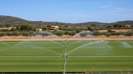 Polo-Feld auf Mallorca mit Bewässerungssystem vor mediterraner Landschaft, symbolisiert Diskussion über Wassermissbrauch