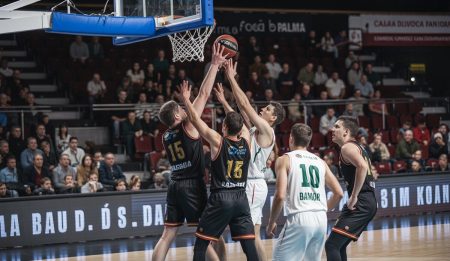 Fibwi Palma kehrt auf Mallorca in die erste Liga zurück Basketballspiel zwischen Fibwi Palma und Caja Rural CB Zamora in Son Moix