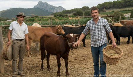 Innovation in der Landwirtschaft auf Mallorca: Neue Methoden im Einsatz Bauern auf Mallorca bei innovativen landwirtschaftlichen Methoden