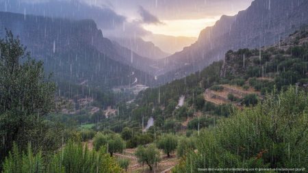 Regen füllt die Wasserreserven auf Mallorca