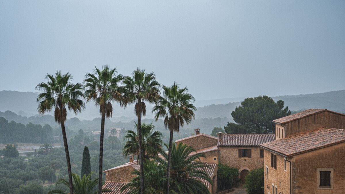 Regnerischer Tag auf Mallorca mit Palmen und mediterraner Architektur.