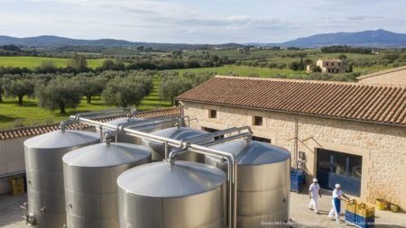 Traditionelle Molkerei auf Mallorca mit Arbeitern und Milchproduktion