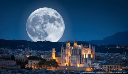 Supermond und Meteorschauer verzaubern Mallorcas Nachthimmel Supermond über Palma de Mallorca mit der Kathedrale im Vordergrund