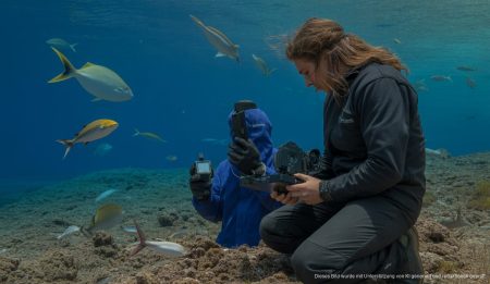 Untersuchung deckt Rückgang von Haien und Rochen auf den Balearen auf Forscher im Cabrera Archipel bei einer Studie über Haie und Rochen