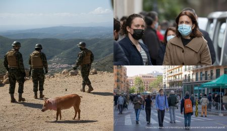 Szene zur Schweinepest in Katalonien und Grippewelle auf Mallorca