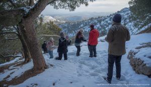 Kälteeinbruch auf Mallorca bringt Schnee in der Serra de Tramuntana Winterliche Landschaft in der Serra de Tramuntana mit frischem Schnee