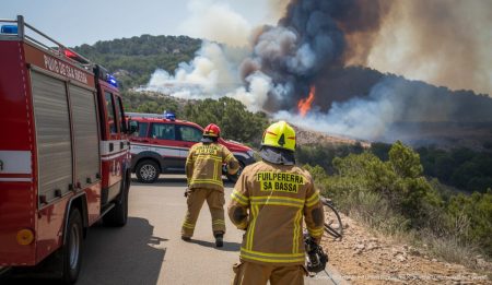 Großbrand bei Son Servera schnell unter Kontrolle gebracht Feuerwehrmänner löschen einen Waldbrand in Son Servera