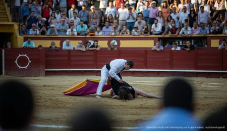 Szene eines Protests beim Stierkampf in Palma de Mallorca mit Sicherheitskräften und Aktivisten.